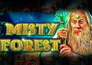 Misty Forest game thumbnail